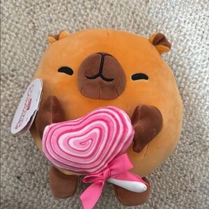 Brand new capybara plushie with Pink Heart